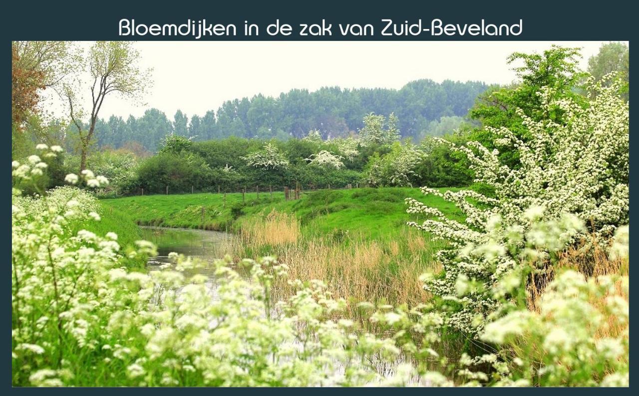 Vakantiewoning Deltahof Ellewoutsdijk Bagian luar foto