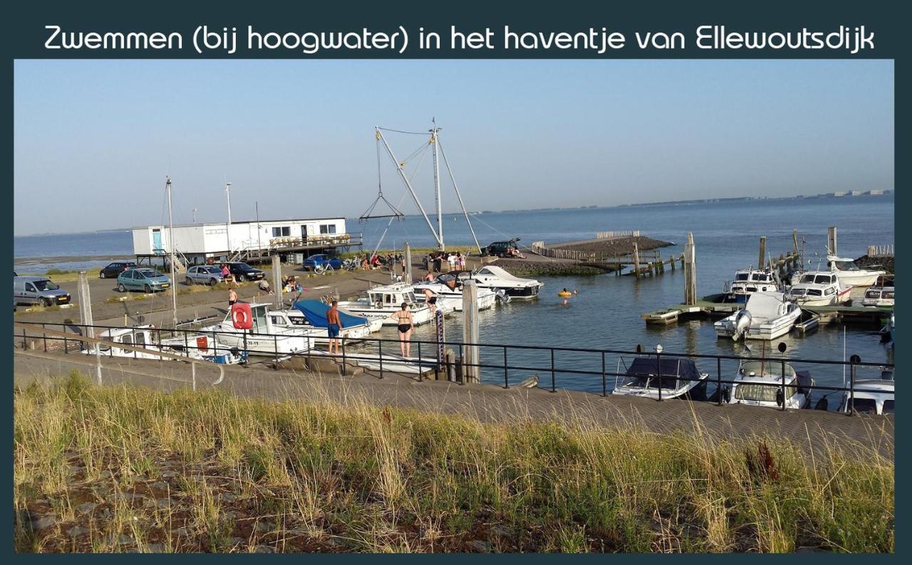 Vakantiewoning Deltahof Ellewoutsdijk Bagian luar foto
