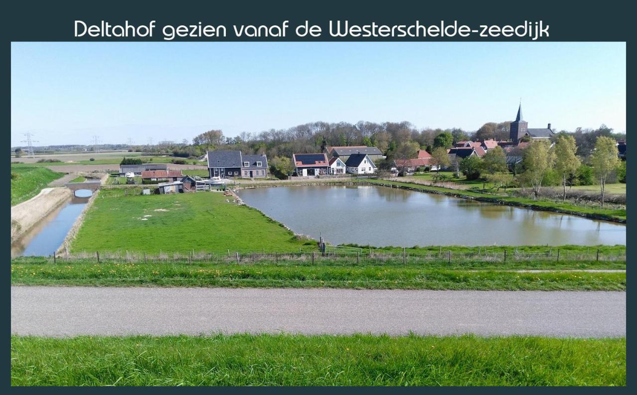 Vakantiewoning Deltahof Ellewoutsdijk Bagian luar foto