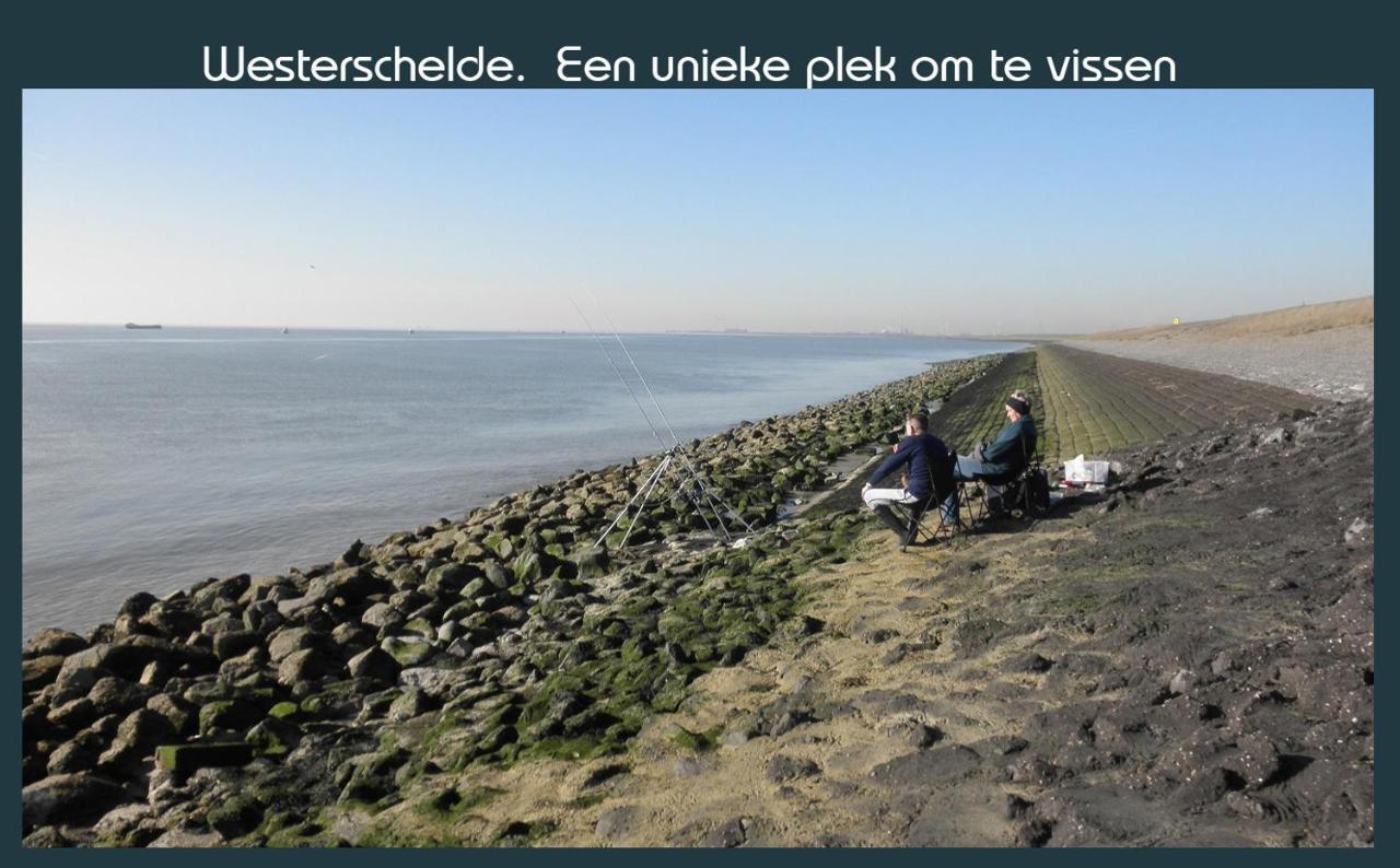 Vakantiewoning Deltahof Ellewoutsdijk Bagian luar foto